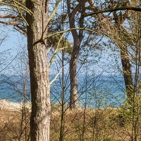 2620-nexo-kolonivejen-9 * Neksø